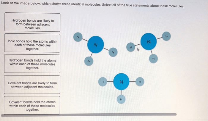 Molecules below which shows three look true statements identical hydrogen solved these answer problem been likely atoms