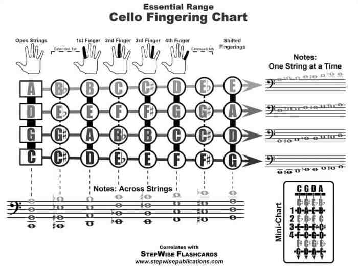 Bass cello fingering clef music scales chart string strings violin orchestra notes double finger letter evolution charts name weebly viola