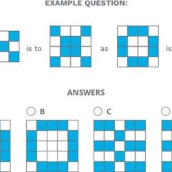 Pi cognitive assessment answers pdf