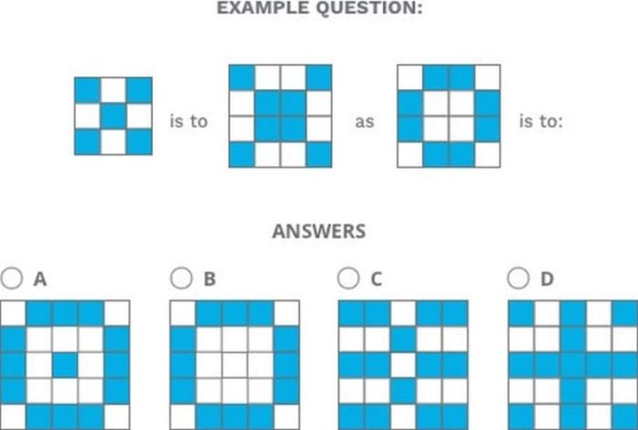 Pi cognitive assessment answers pdf