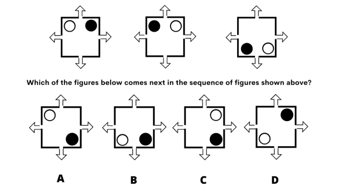 Pi cognitive assessment answers pdf