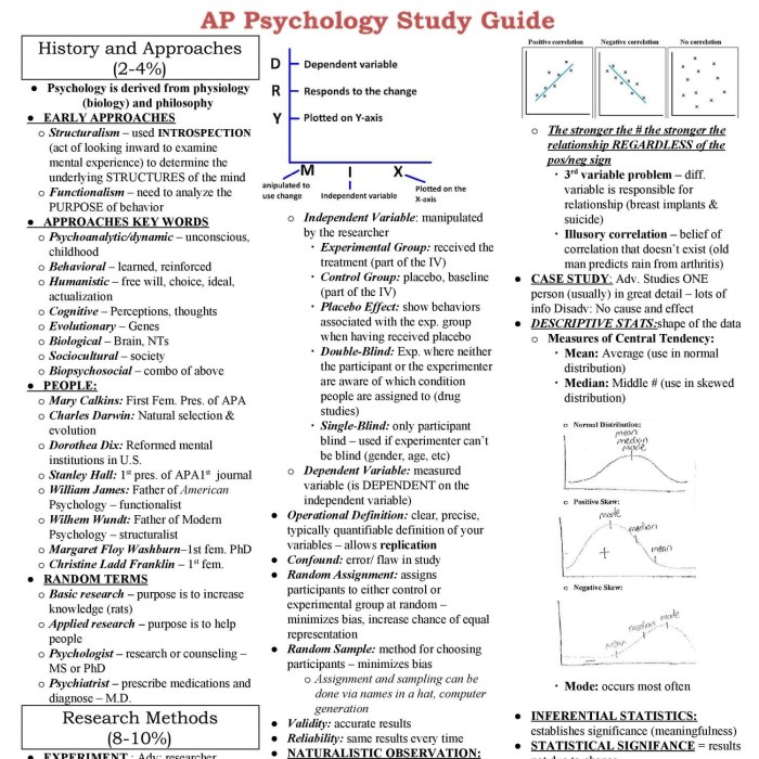 Downloadable nsa exam study guide