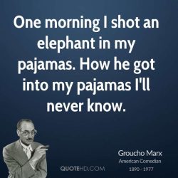 I once shot an elephant in my pajamas