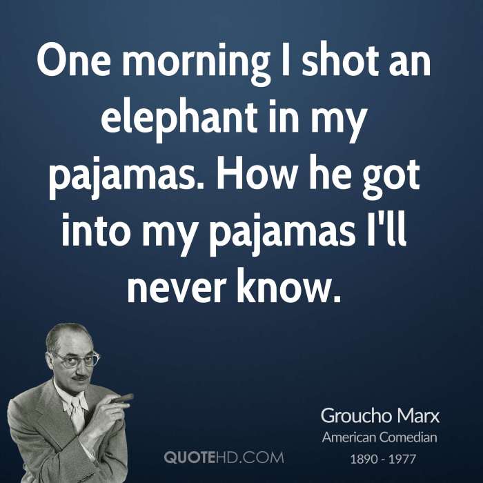 I once shot an elephant in my pajamas