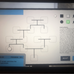 Pedigree of sif and anton