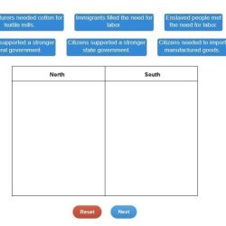 Characteristic correct match each plant group