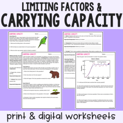 Limiting factors and carrying capacity worksheet answers