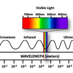 Rank these objects on the basis of their wavelength.