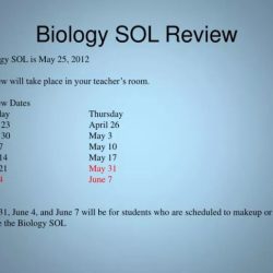 Biology sol review packet virginia answer key